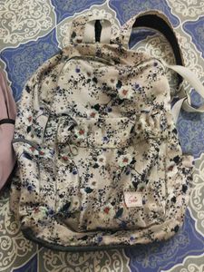 Two bagpacks
