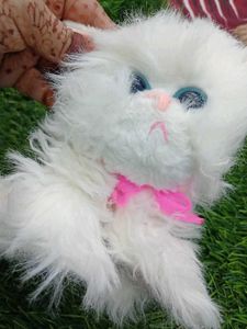 Cat Cuite Soft Toy