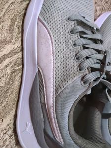 Puma Anzarun Lite Sneaker 👟 Revised Price 🏷️