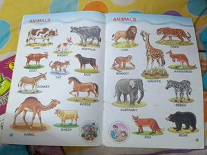 English Conversation + My Word Picture Book