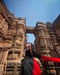 Elegant Red Saree blouse not included
