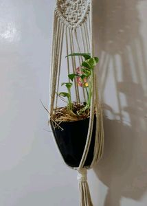 Wall Hanging