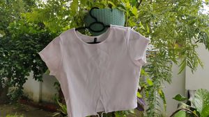 White Crop Top