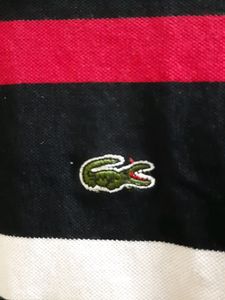 Original Lacoste Tee