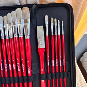 🎨 Solimo 13-Piece Oil Paint Brush Set + Premium C