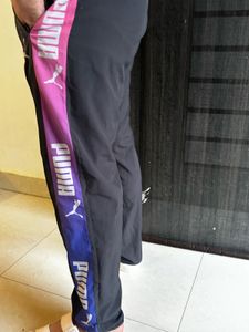 Gym Pants For Men