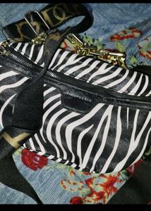 Zebra Print Chain Shoulder Bag