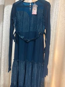 Ethnic Blue Gown