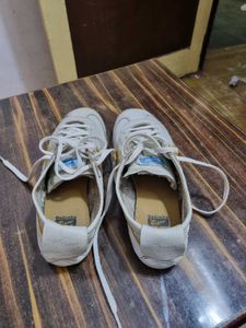 These  are 100%  original  tiger shoes