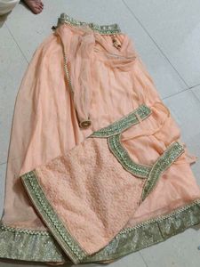 Peach Net Lehenga Skirt