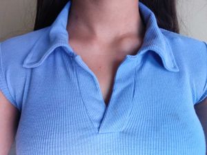Blue Collar Fitted Top