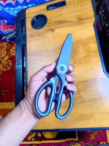 🆕Vegetable/Plant Cutter Scissors