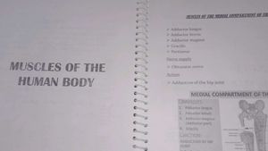 Anatomy Imp Notes