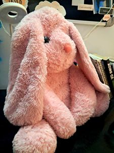 Soft Toys