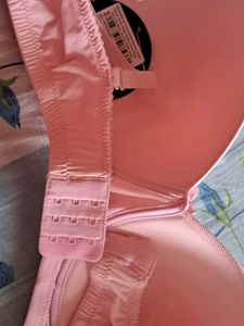 CLOVIA ( 38 C ) Padded Bra