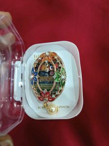 Elegant Brooch/ Saree Pin Set