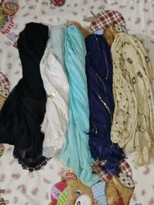 Scarfs & Stoles Bundle ( buy 4 get 1 free )🆓