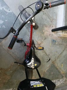 BSA Roamer Kids Bicycle