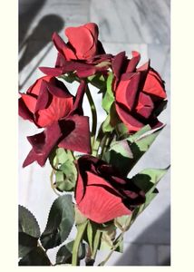 Rose Bunch Without Pot