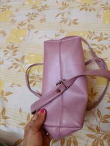 Elegant Sreeleathers Handbag