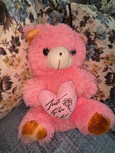 Baby Pink Teddy Bear