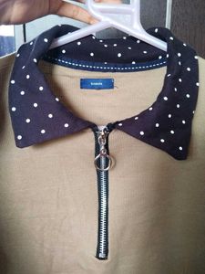 Tan Polo with Polka Dot Collar