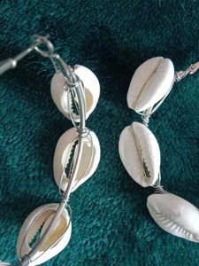 Cowrie Shell Earings