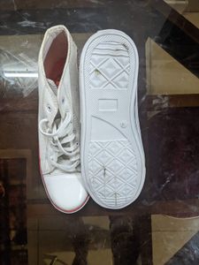 Converse Shoes