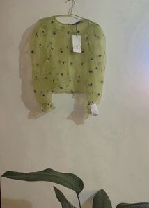 Zara Sheer Top