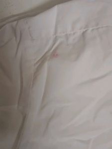 Greendale School Uniform Shirt