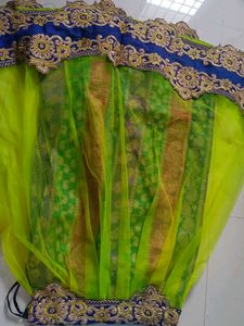 Green Embellished Lehenga Choli
