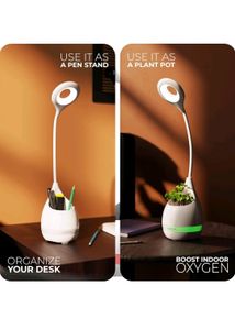 Multifunctional Desk Lamp