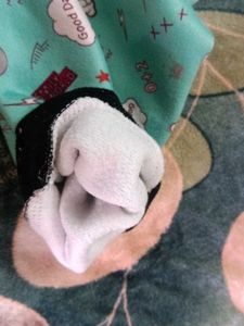 Cute Printed Baby Pants