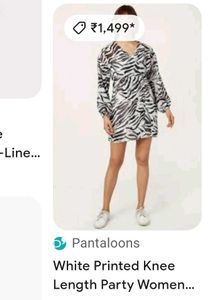 Pantaloons Zevra Print Dress