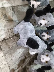 Cute Little Puppy Toy 🧸