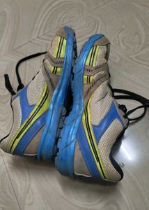 Cricket sports shoes