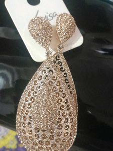 Hang I ng Partywear Earings