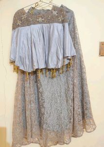 Shimmery Lehenga Choli ☺️✨🎉