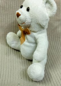 Very Cute White Bear