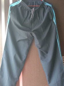 Navy Blue Trouser With SkyBlue Strips