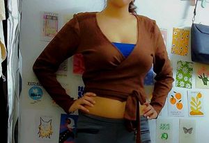 ZARA Brown Wrapping Top