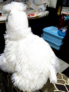 White Rabbit Toy