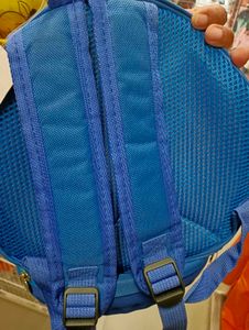Lightyear Tire Bag