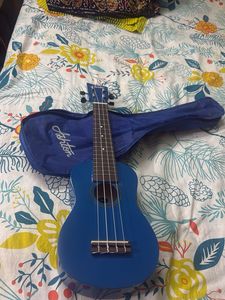 Ashton Ukulele in Case