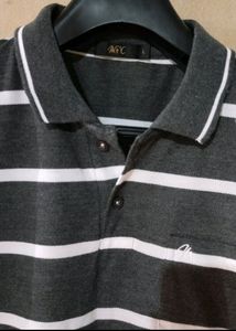Combo Offer T Shirts