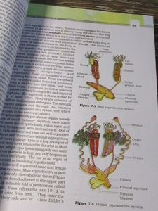Biology Class 11