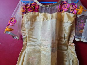 Elegant Floral Embroidered Dress