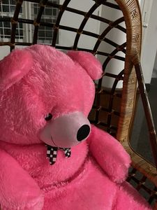 Pink Plush Teddy Bear