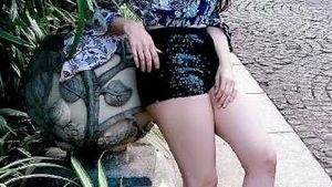 Party Wear Shorts Stretchable