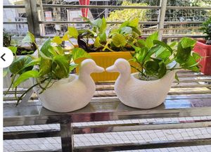 Duck-Shaped Flower Pot